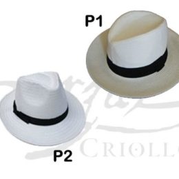 Sombreros Simil Panama